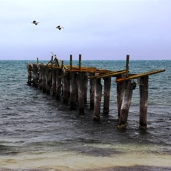 Israelite Bay jetty