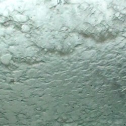 Ali's view through the windscreen.  Where's the track?!?