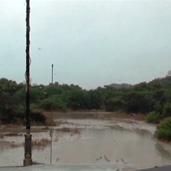 Wattle Swamp.  I mean Wattle Camp