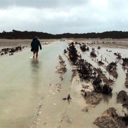 Take the boots off and walk it first