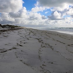 The run down the beach was like a drive down a freeway
