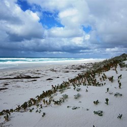 Looking back towards Israelite Bay from Bilbunya Dunes