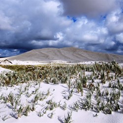 Bilbunya Dunes