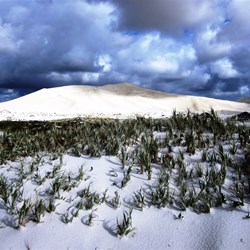 Bilbunya Dunes