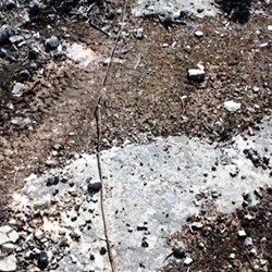 The old telegraph wire is still there after more than a century