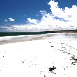 Twilight Cove looking west