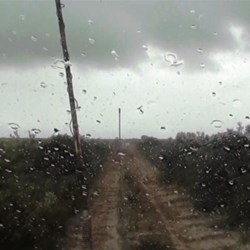 More rain on the way