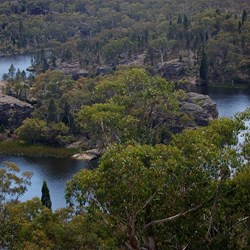 Dunns Swamp, Wollemi National Park, NSW