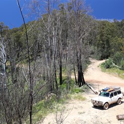 At the top of Carters Road