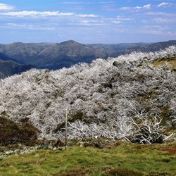 Damage from past bushfires is still evident