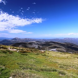 On top of Mt Stirling.  The poles indicate snow depth in winter