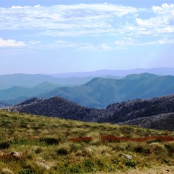 Nothing quite like this in WA