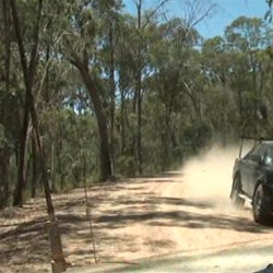 Meeting a car on a bend on Howqua Hills Road