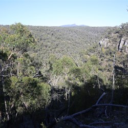 The view from McKenzie Falls lookout