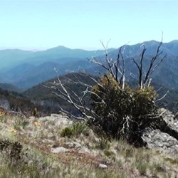 The view from Bluff Link Road