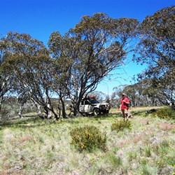 A good spot for lunch