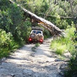 A tight squeeze under a couple of fallen trees