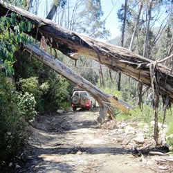 Made it under OK with Ali's spotting