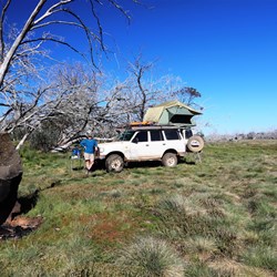 Our Howitt Plains camp