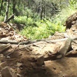Looking out of the passenger side window to the track below