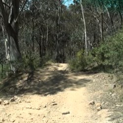 Still heading downhill...