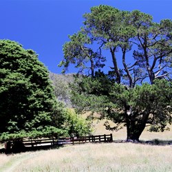 Woonangatta Station cemetary