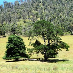 Another view of the cemetary