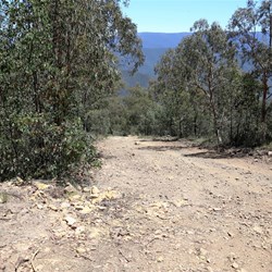 Looking back down the Herne Spur Track