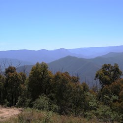 Looking down the Wombat Range Track