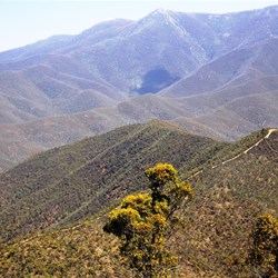 Looking across from Collingwood Spur to Billy Goat Bluff Track