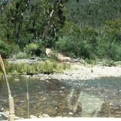 Another Wongungarra River crossing