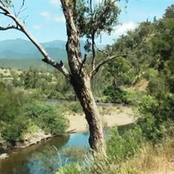 Lookinig down on the Wonnangatta River from Crooked River Road