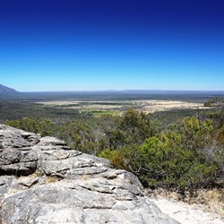 In the Grampians