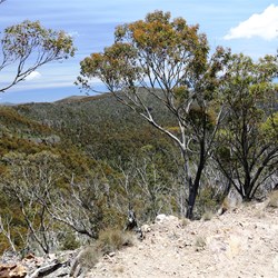 The view to the east along the razorback section
