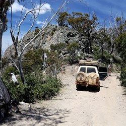 Finally reaching the bluff