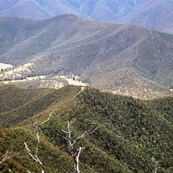 Looking back down from the bluff to the helipad