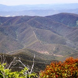 The view west across to Mt Kent