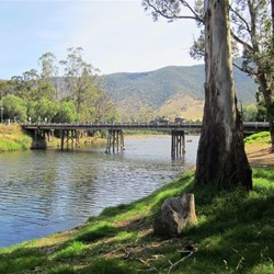 The Macalister River at Licola