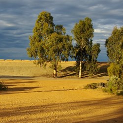 Dam Wall Lake Victoria  NSW