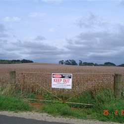 Poppy Fields near Trowutta