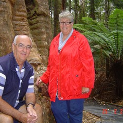 Chooky and Wobble at Big Tree