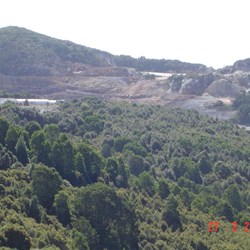 Old Tin Mine above Waratah