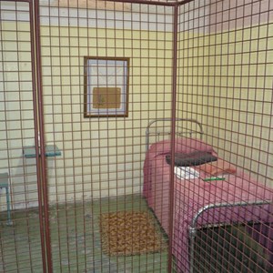 NSW Childrens Services "Cabin" for females