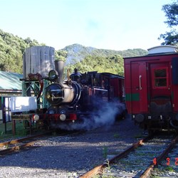 Stopped at Lynchford