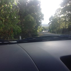 Road leaving Lake St Clair to Derwent Bridge