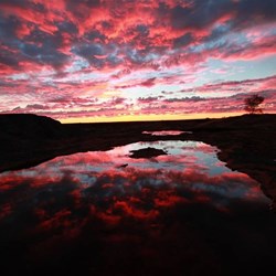 Sunrise on the Holland Track 