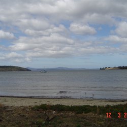 Port Esperence from the picnic ground at Dover