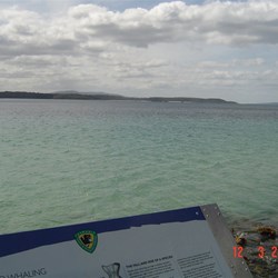 View from the end of the track out to sea at Cockle Creek