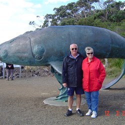 Chooky and Wobble at the end of the track at Cockle Creek