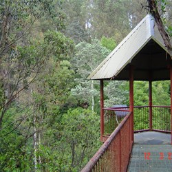View from walkway to West Creek lookout